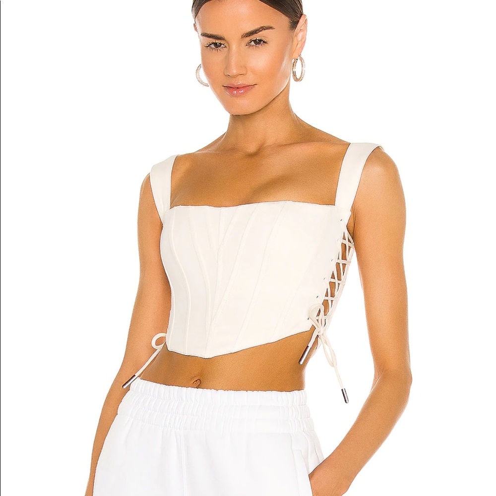 Danielle Guizio Classic Fitted Corset Top